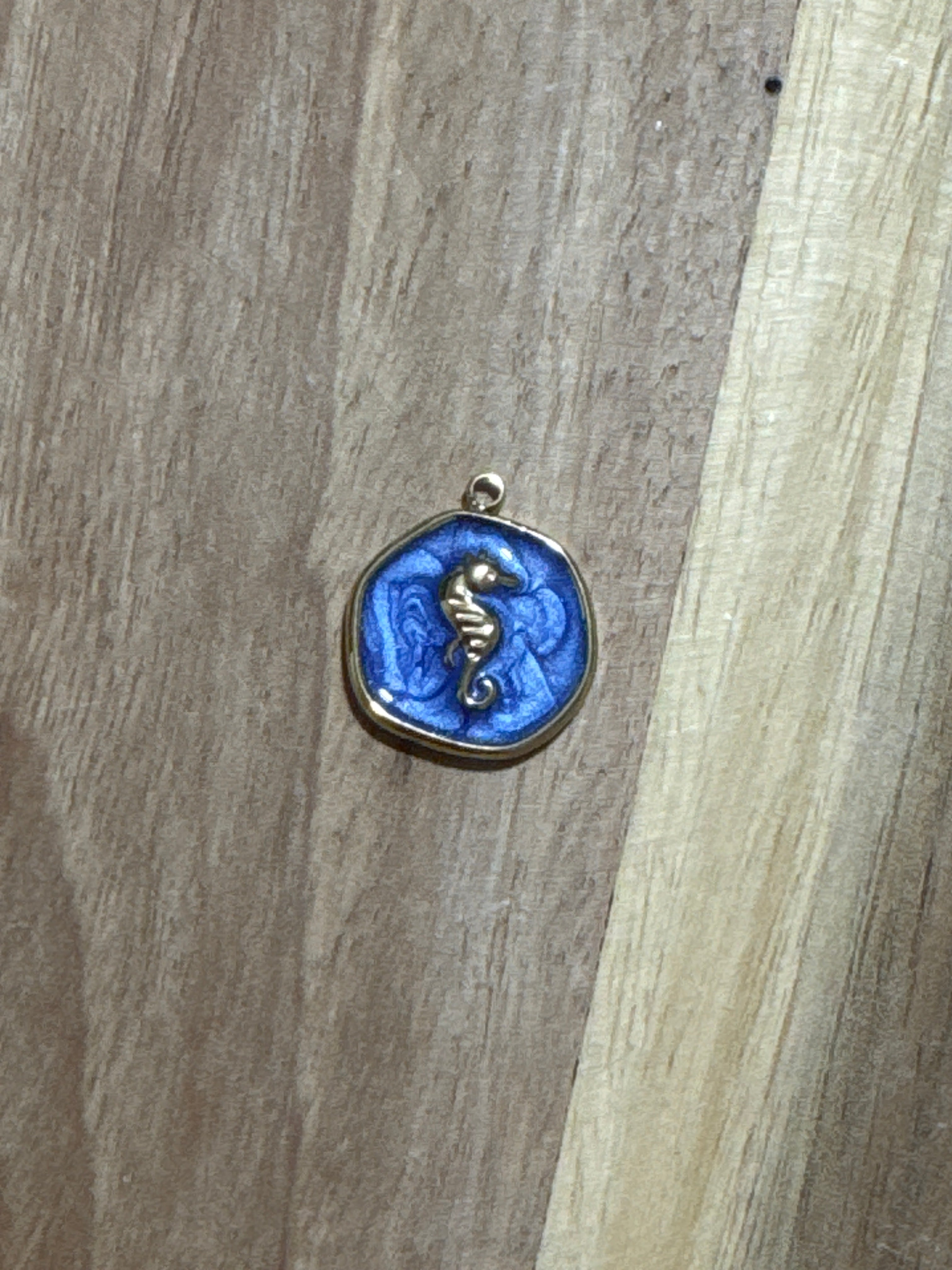 Charms hippocampe bleu