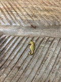 Charms hippocampe