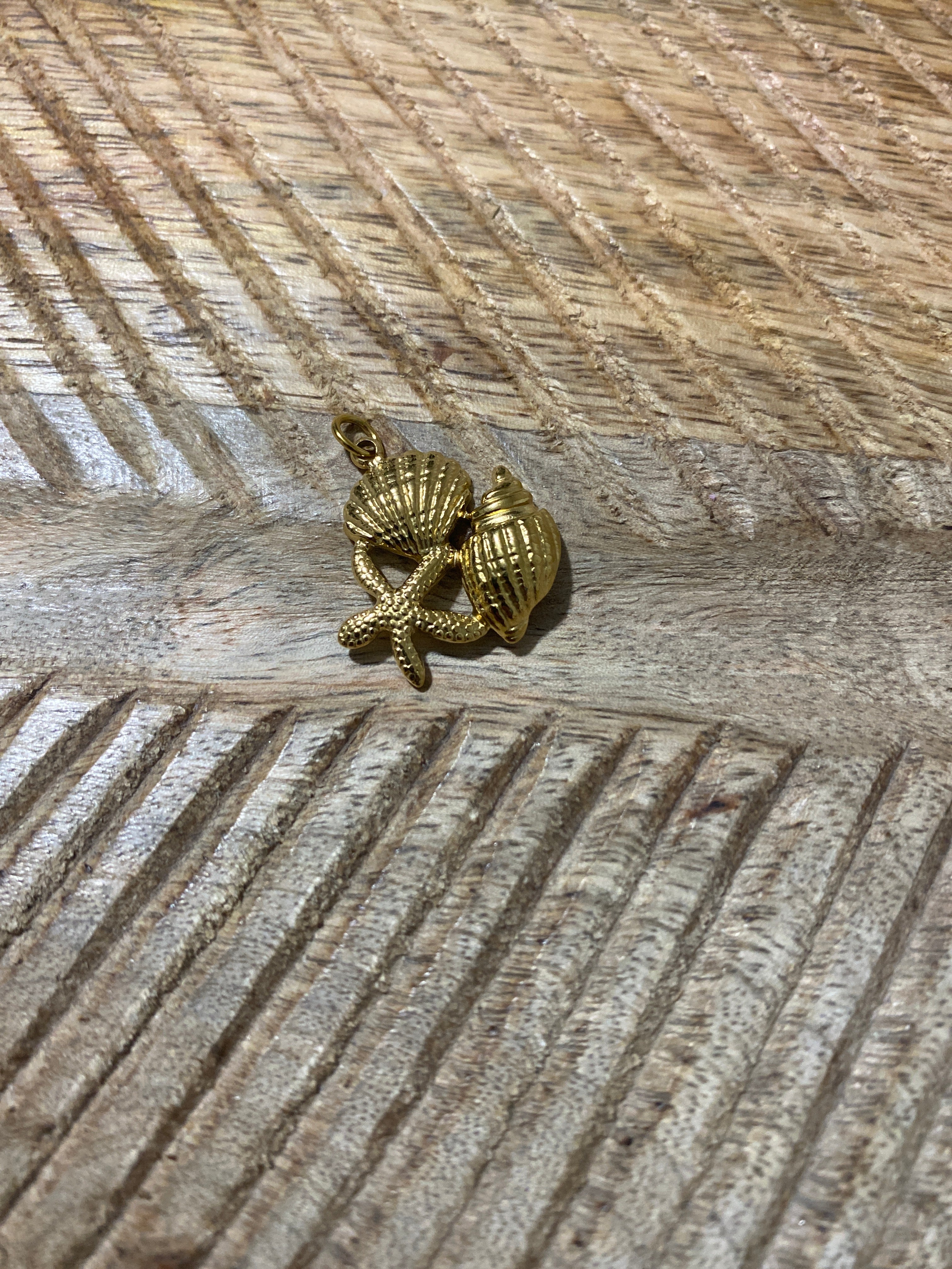 Charms Coquillage