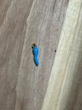 Charms piment bleu