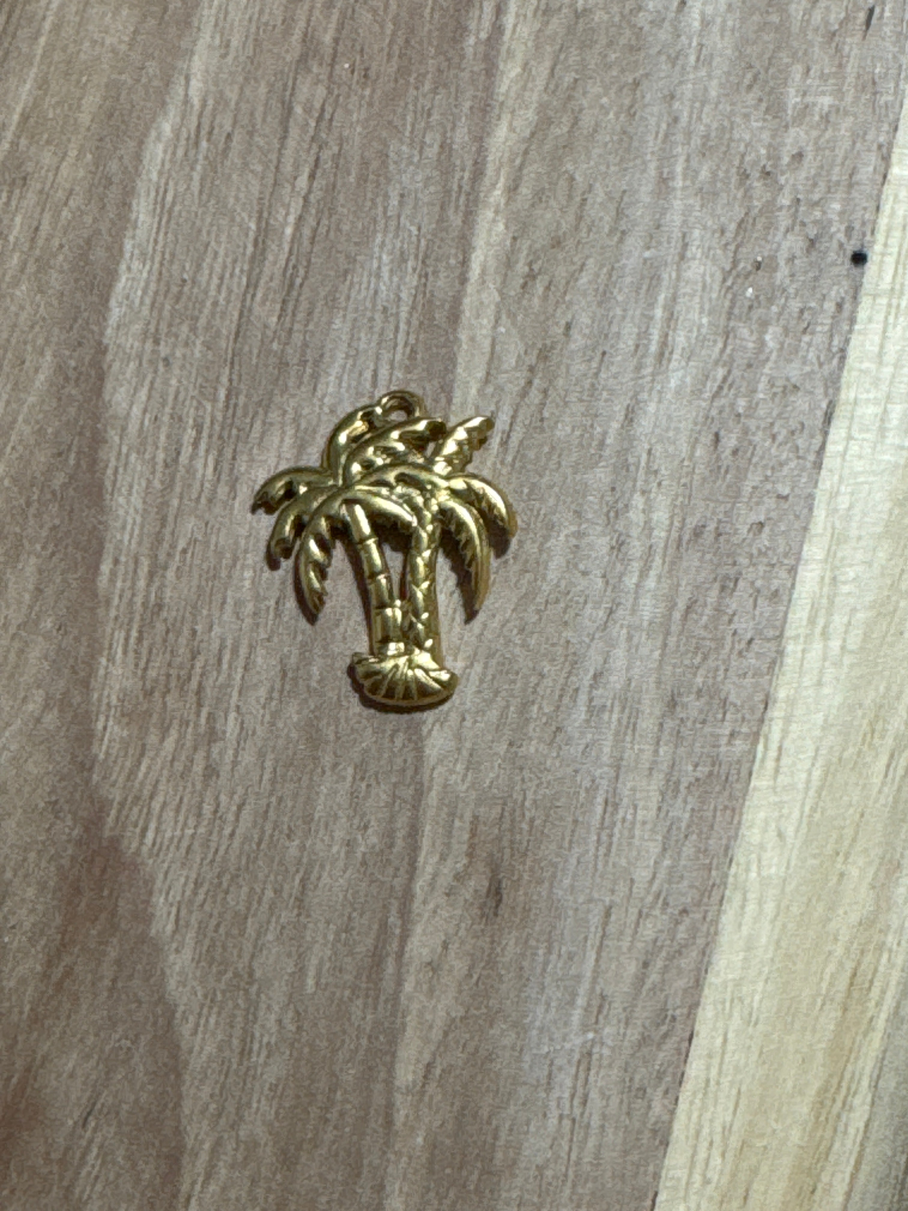 Charms palmier
