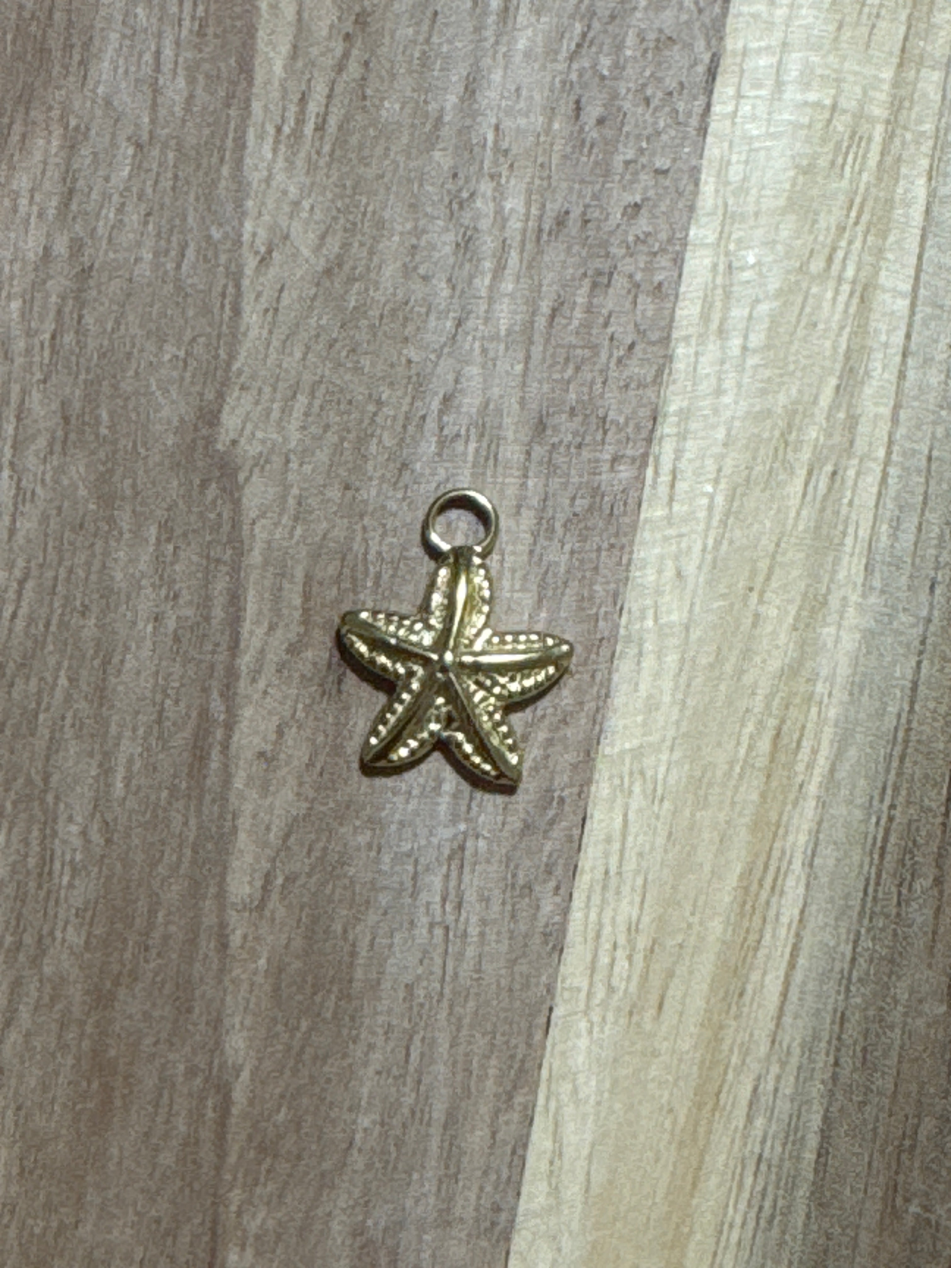 Charms Étoile de mer