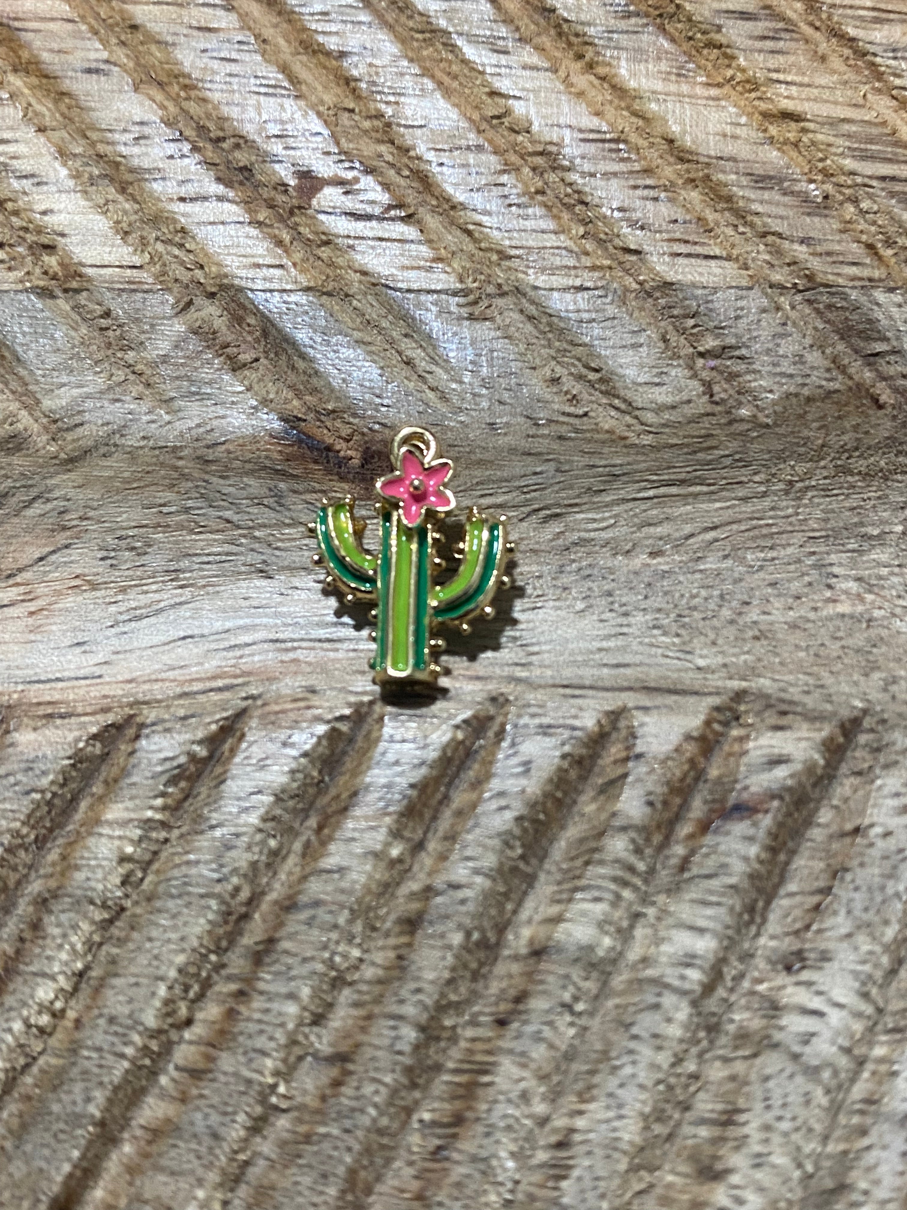 Charms cactus