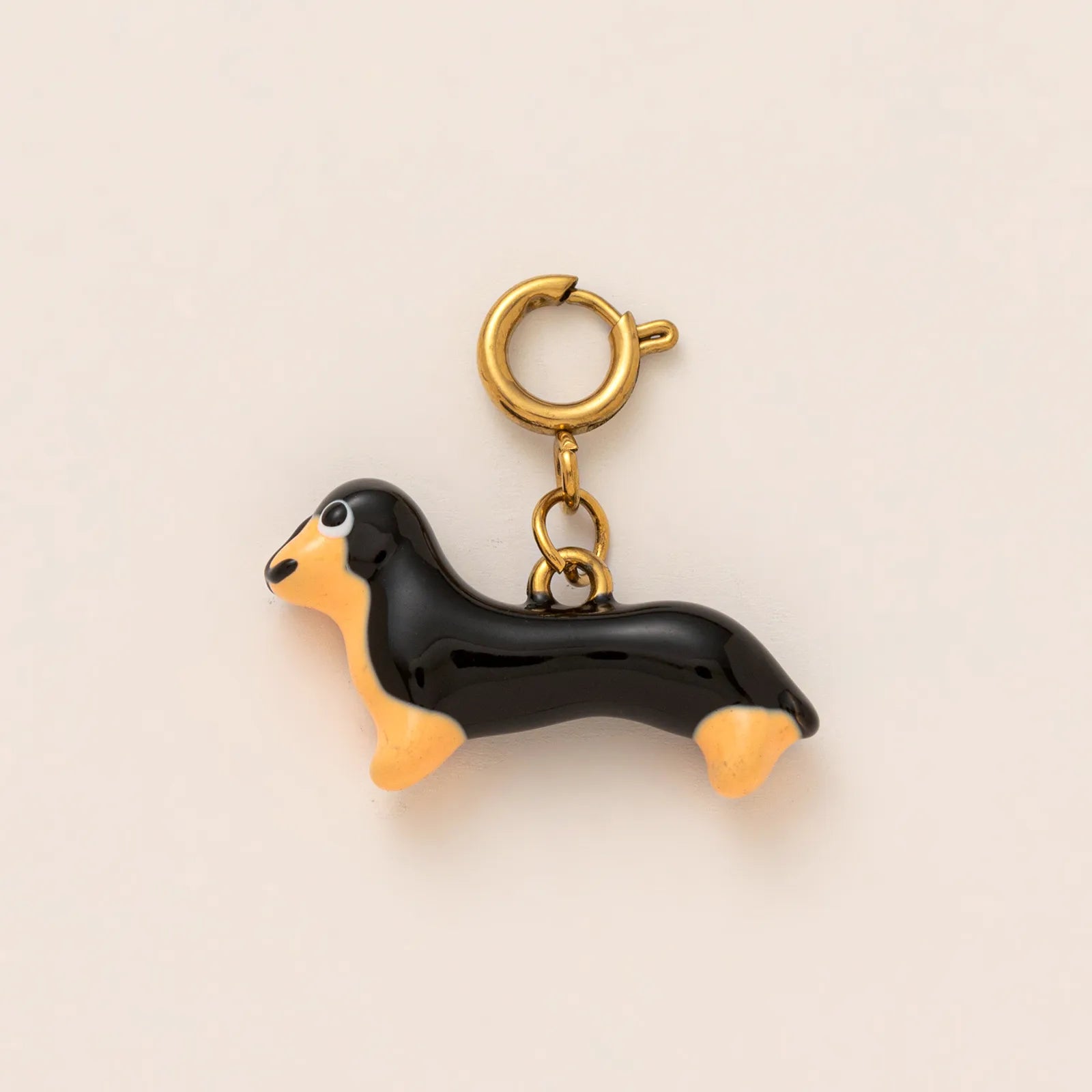 Charms chien